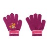 Textiel Trade Girl's One Size Fits Most Paw Patrol Skye Hat and Gloves Winter Set - 3 of 3