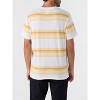 Hang Ten Tee - 3 of 4