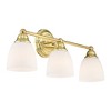 Livex Lighting Somerville 3 - Light Vanity in  Polished Brass - 4 of 4