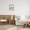 Stupell Industries French Magnolias In Spring Floating Frame Canvas Art - 3 of 4