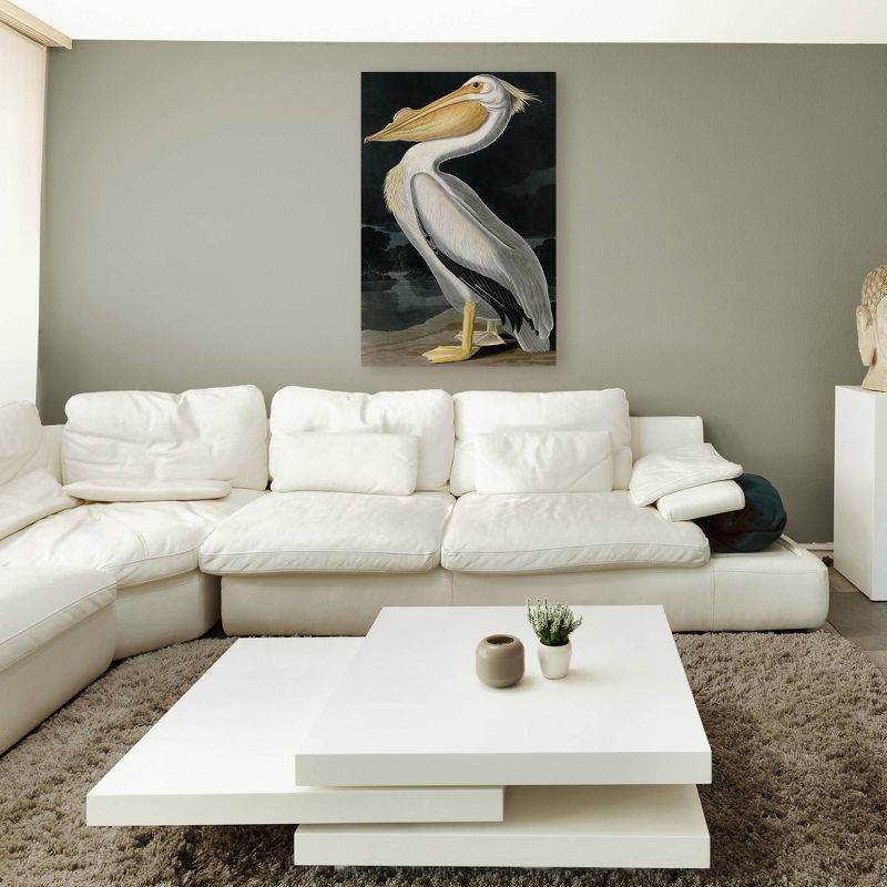 30&#34; x 47&#34; American White Pelican by John James Audubon - Trademark Fine Art, 5 of 7