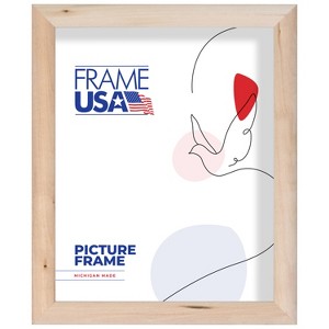 Shadowbox Elite Brown 16X20 inch Single Image Picture Frame - 1 of 4
