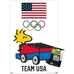 Trends International Team USA x Peanuts – Woodstock Drives the Zamboni Unframed Wall Poster Prints - 1 of 4