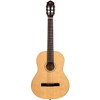 Ortega Guitars Student Series Full Size Nylon Classical Guitar - 2 of 4
