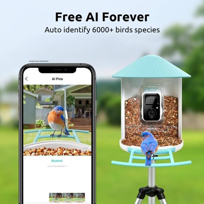 Blue and White Plastic Post-Mounted Bird Feeder with HD Camera