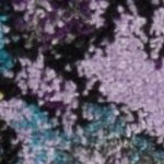 multi