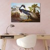 Louisiana Heron From "Birds of America" by John James Audubon Unframed Wall Canvas - iCanvas - 3 of 4