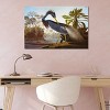 Louisiana Heron From "Birds of America" by John James Audubon Unframed Wall Canvas - iCanvas - image 3 of 4