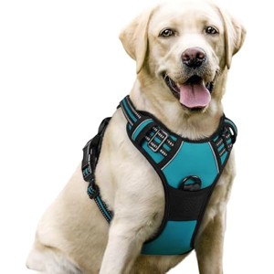 rabbitgoo Dog Harness No Pull with 2 Leash Clips, Control Handle for Large Dogs, Teal, L - 1 of 1