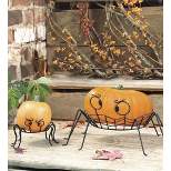 Plow & Hearth Spooky Spider Pumpkin Holders, set of 2