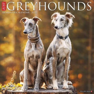 2022 Wall Calendar Just Greyhounds - Willow Creek Press