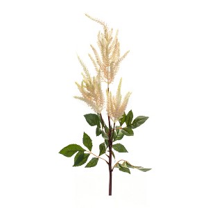 Astilbe Spray (Set of 4) - 1 of 2