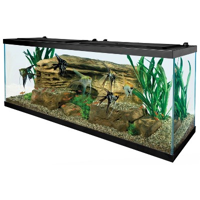 Photo 1 of Aqua Culture 55-Gallon Glass Fish Tank LED Aquarium Kit