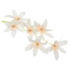 Unique Bargains Wrinkle Resistant Natural Look Home Decoration Artificial Orchid Flower - 3 of 4