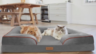 Slate Orange Medium Orthopedic Outdoor Pet Mattress with Bumper