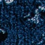 blue/black
