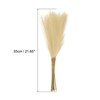 Unique Bargains Fake Pampas Artificial Grass for Wedding Party Decoration 20 Pcs - image 2 of 4