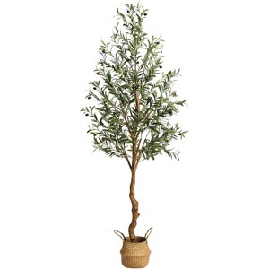 6ft Artificial Olive Tree – Faux Silk Potted Plant with Handmade Seagrass Basket & Lifelike Fruits for Indoor Home, Office, or Living Room Decor - 1 of 4