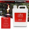 GasOne 2 Pack 1 Gallon Liquid Paraffin Lamp Oil – Multifunctional Lamp Oil Smokeless Odorless Indoor for Lamps, Lanterns, Tiki Torch – Safe Packaging - 4 of 4