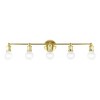 Livex Lighting Lansdale 5 - Light Vanity in  Polished Brass - 4 of 4