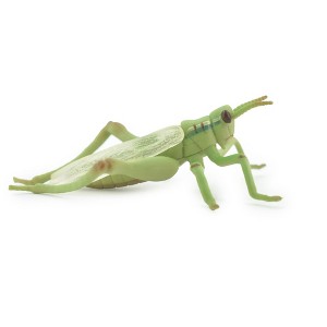 Collectible Wildlife Gifts | Grasshopper, Locusts, Museum Quality, Hand Painted, Rubber, Insect, Realistic Toy Figure, Model, Gift,   4"   CH485 BB154 - 1 of 4