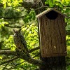 Outer Trails Japanese Cedar Wooden Owl Houses, Composite Weather Tight Roof, Bark Front - image 3 of 4