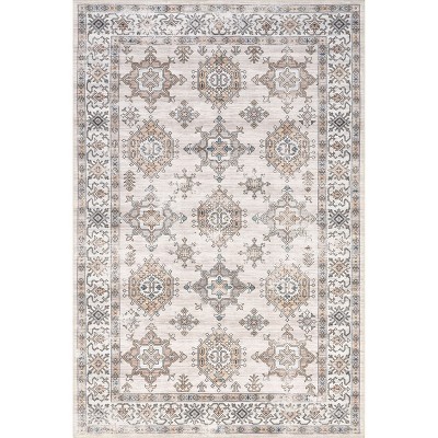 Nuloom Finley Pet Friendly Machine Washable Vintage Distressed Area Rug