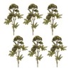 Sedum Succulent Spray (Set of 6) - 2 of 4