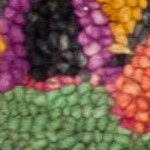 purple/multi