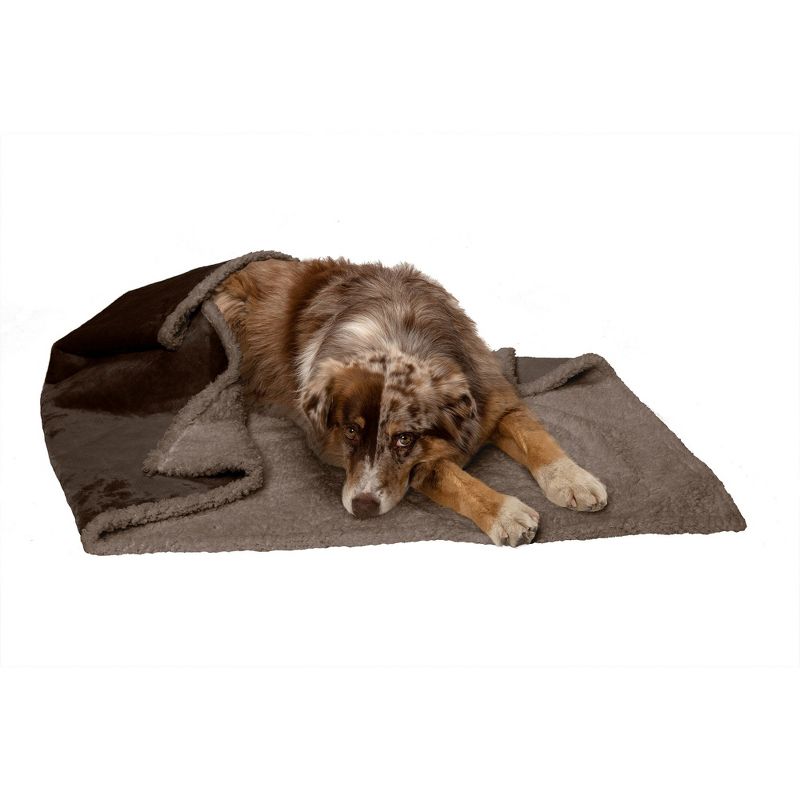FurHaven Snuggly & Warm Soft-Edge Warming Waterproof Blanket, 1 of 4