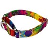 Country Brook Petz Martingale Dog Collar - Groovy Collection - 2 of 4