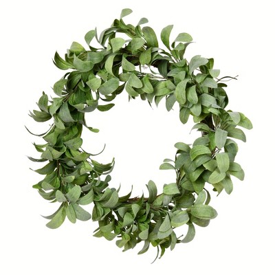 Vickerman 22" Artificial Lamb Ear Leaves Wreath.