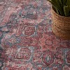 Nourison New Concept Washables Vintage Indoor Area Rug - 3 of 4