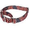 Country Brook Petz Patriotic Tribute Martingale Dog Collar and Leash - image 4 of 4