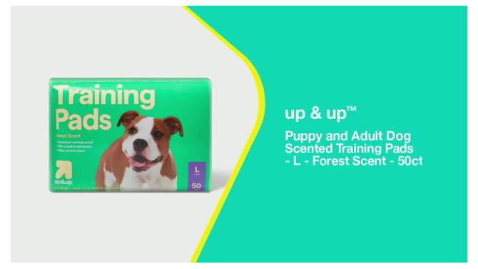 Puppy and Adult Dog Scented Training Pads - L - Forest Scent - 50ct - up &#38; up&#8482;, 2 of 7, play video