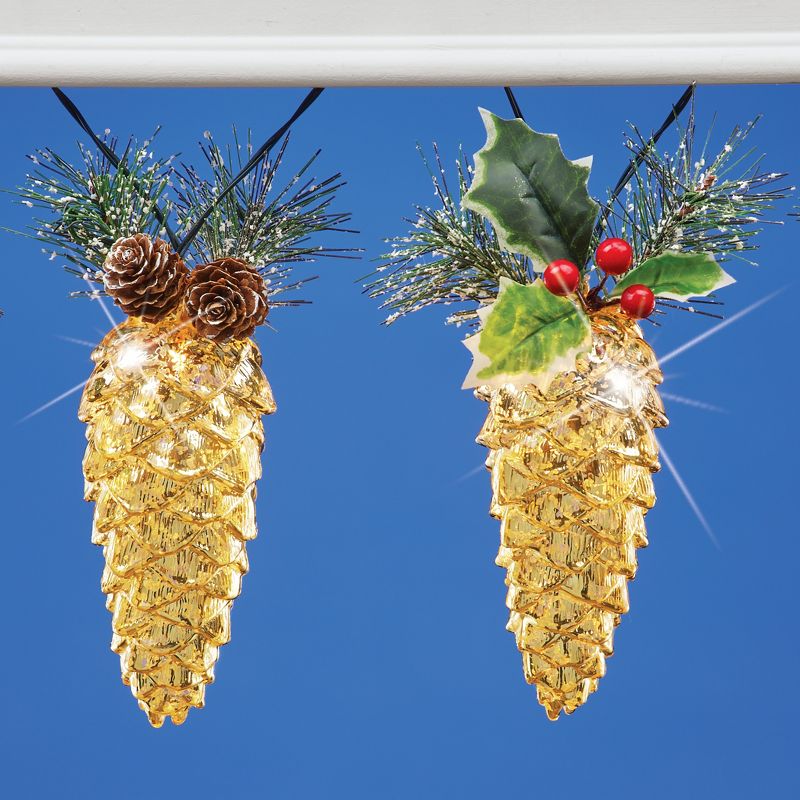 Collections Etc Set of 10 Pine Cone Holiday Solar String Lights NO SIZE, 3 of 4