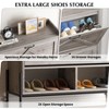 Shoe Cabinet,Shoe Rack with 2 Flip Drawers,Freestanding Shoe Storage Cabinet for Entryway,Shoe Rack for Door Entrance,Holds up to 24 Pairs of Shoes - 3 of 4