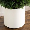 HomeStock  3 ft. Artificial Tree in Planter for Indoor/Outdoor - 4 of 4