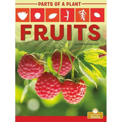 Fruits - (Parts of a Plant) by  Alicia Rodriguez (Paperback)