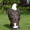 SEVOBAL Eagle Exhibition Garden Sculpture Bald Eagle Garden Statue Hand Drawn Lawn Courtyard Outdoor Decoration Federal Indepe, Brown, 13"*12.4"*24.4" - 4 of 4