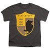 Boys' Harry Potter Hufflepuff Four Square Shield Crest T-Shirt - 2 of 4
