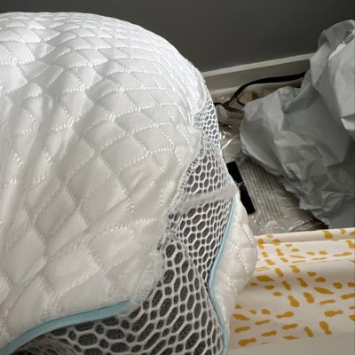 Frost shop pillow review