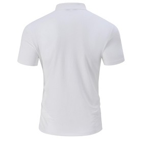 Men's 2 Pieces Outfits Quarter Zip Polo Shirt and Shorts Set 2025  Summer Casual Athletic Suit Tracksuit Set - 1 of 4