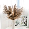 Alilang Decorative Dried Pampas Grass for Elegant Home Decoration and Floral Arrangements, 17 Inches - 2 of 3
