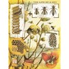 New York Puzzle Company Bees & Honey 1000 Piece Puzzle - 3 of 4