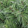 Perfect Holiday 24" Evergreen Christmas Wreath - 2 of 2
