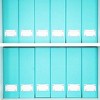 Blu Monaco Foldable Magazine File Holders - Set of 4 or 6 - Many Colors and Designs to Choose From - 4 of 4