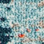 blue/multi