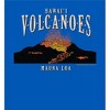 Adventure Society Hawaii Volcanoes Men's Short Sleeve Tee - 2 of 2