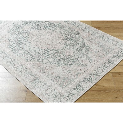Hauteloom Yanis Living Room, Bedroom Machine Washable Area Rug - Traditional
